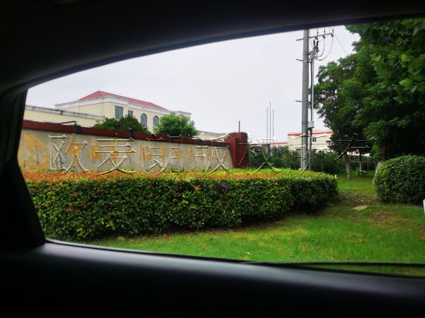 宿迁木材胶水烘干