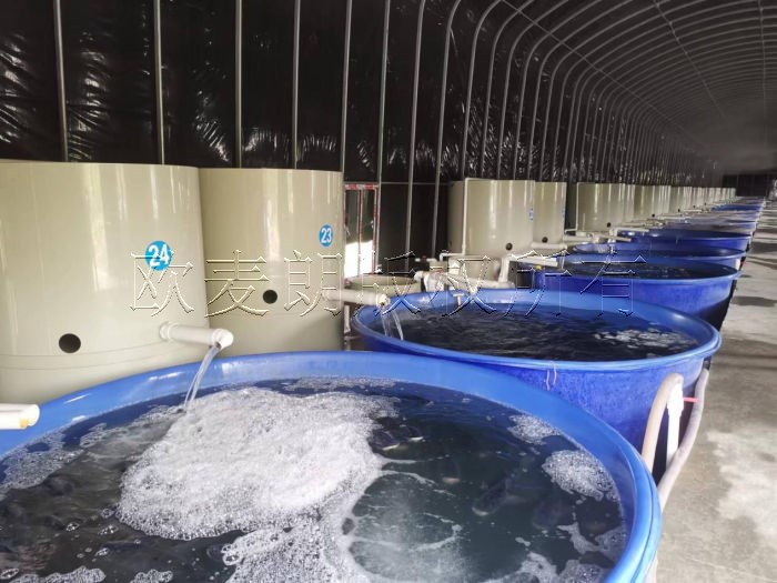 蜂蜜浏览器_1.jpg
