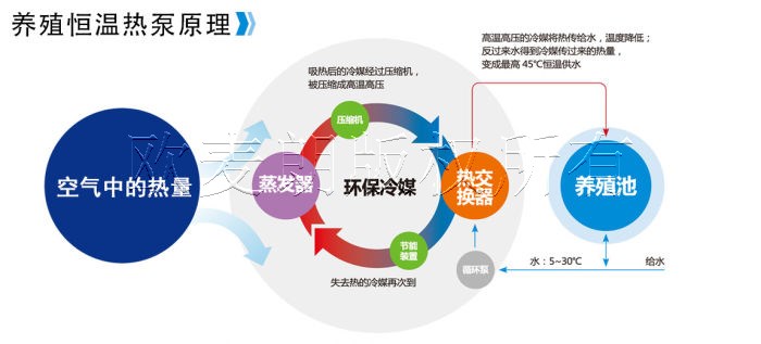 蜂蜜浏览器_2.jpg